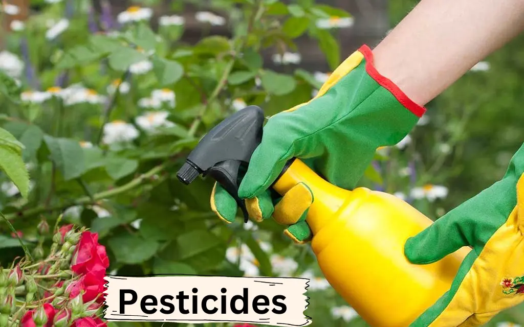 Pesticides