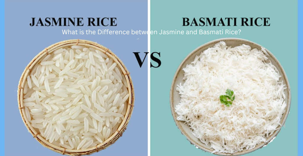 Difference between Basmati and Jasmine rice